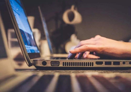 理科生的四大高性价比计算机专业 环境优、福利好、薪资可观